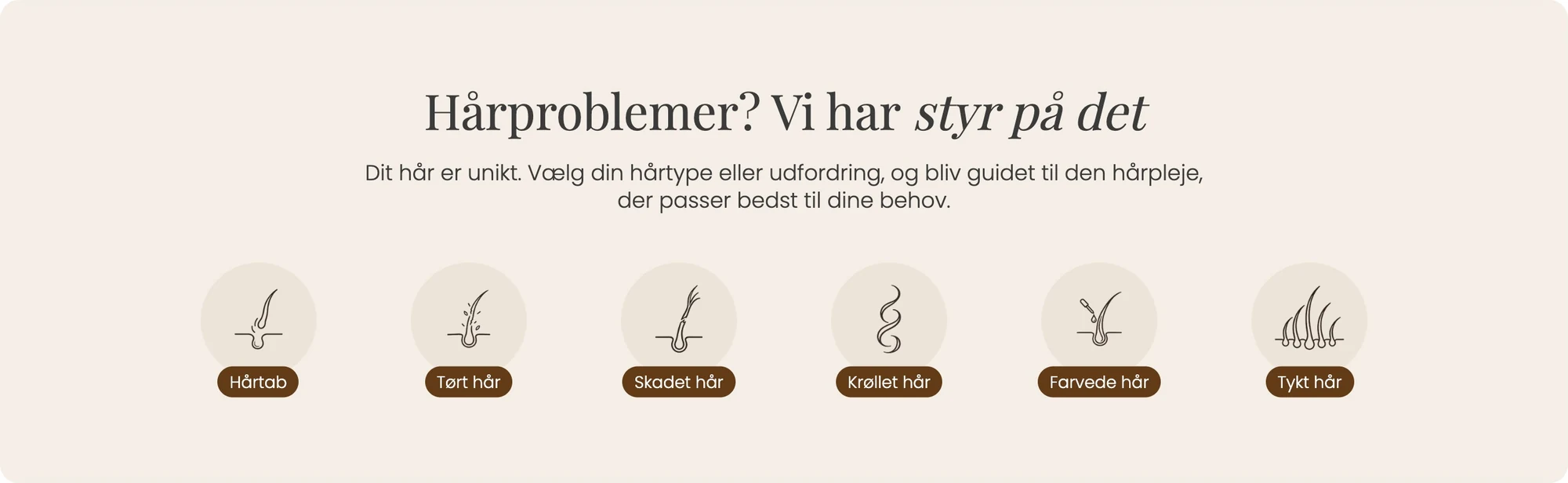 Sektionen Hårproblemer? Vi har styr på det, med seks indgange: Hårtab, Tørt hår, Skadet hår, Krøllet hår, Farvede hår og Tykt hår