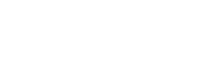 Shopify Partner